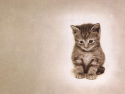 Рисунки, картинки котов и кошек.Cats